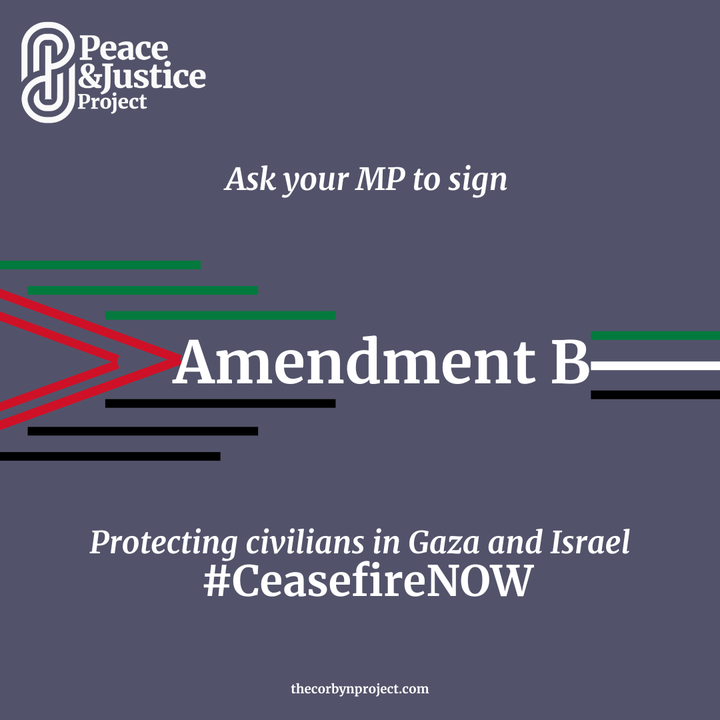 Protect Citizens In Israel And Palestine: Support Amendment B ...